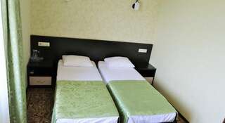 Гостиница Олимпия Адлер Адлер Стандартный двухместный номер с 2 отдельными кроватями-1